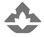 Site Icon