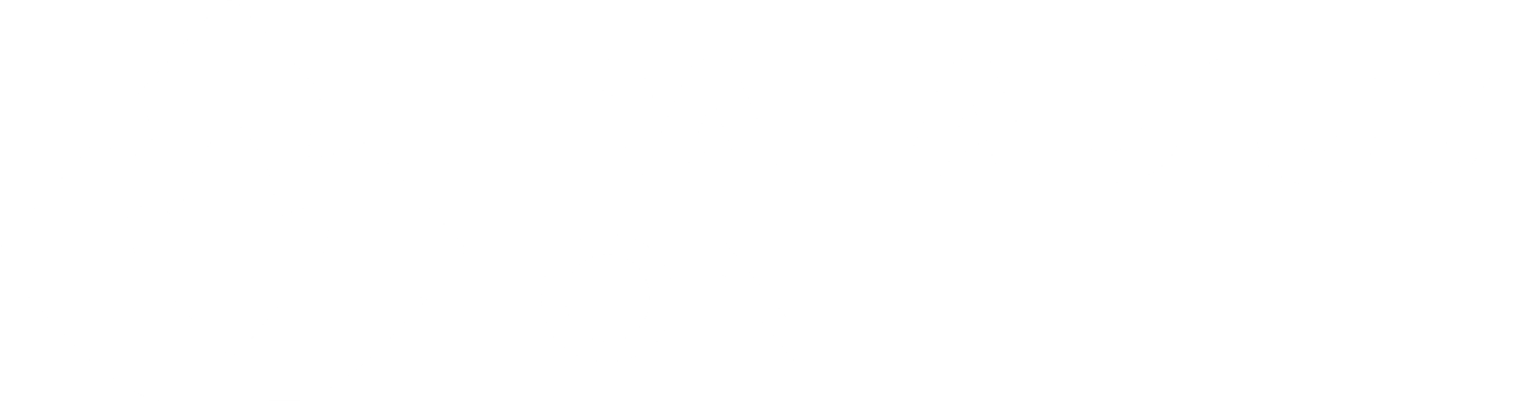 Paladium One official logo - Modern family homes in LaBelle, FL